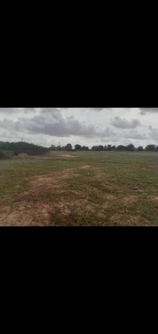 Venda 3Hectares na zona especial económica