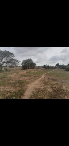 Venda 3Hectares na zona especial económica