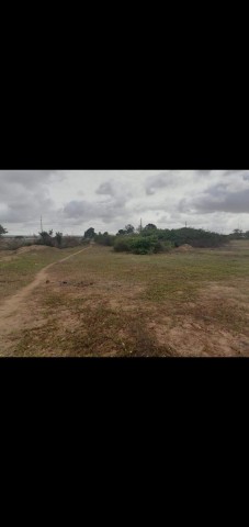 Venda 3Hectares na zona especial económica