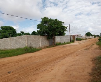 A venda Venda de uma casa com quintal. Kk5000