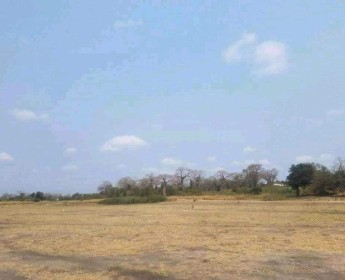 A venda TERRENO PROPÍCIO PARA SECTOR AGRÍCOLA 5000 HECTARES / BEIRA RIO