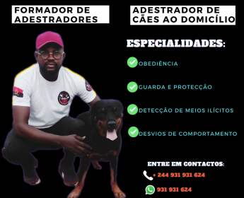 A venda Serviços de adestramento canino