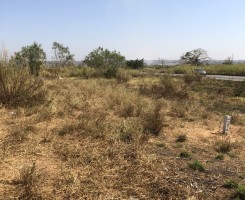 A venda Hectares