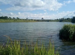 Anúncio Fazenda no Kwanza Norte serviços