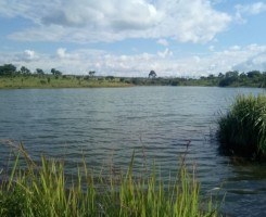 A venda Fazenda no Kwanza Norte serviços