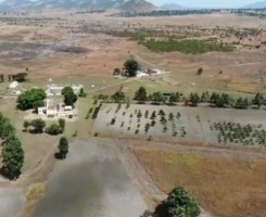 A venda Fazenda de 882,428 hectares, Huambo serviços