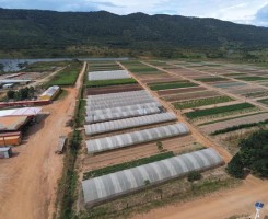 Comprar MAGNÍFICA FAZENDA NO K. SUL serviços