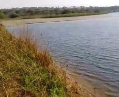 A venda TERRENO AGRÍCOLA, KWANZA NORTE serviços