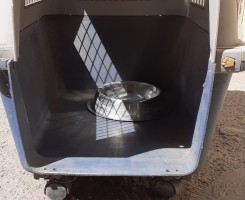A venda Casota de cães