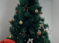 Arvore de Natal 210cm