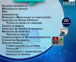 A venda Serviços de TI incluindo PrimaveraBss