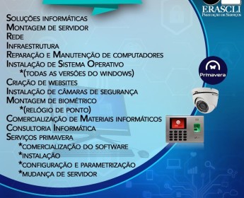 A venda Serviços de TI incluindo PrimaveraBss