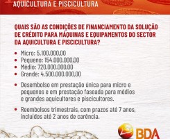 A venda Plano de negócios e estudos de viabilidade económica e financeira