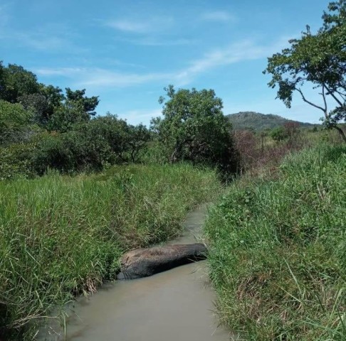 Terreno agrícola, na Comuna do Quissango, Kwanza Sul