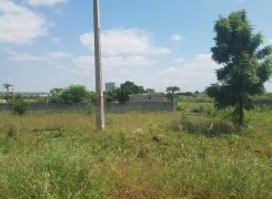 Terreno de 8 hectares, na Via Expressa (Sentido Cacuaco/desvio do Zango)