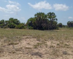 A venda TERRENO DE 10 HECTARES, NA ZONA TURÍSTICA DOS RAMIROS.