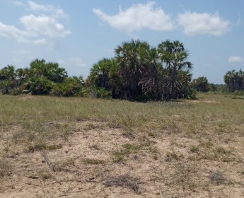 A venda TERRENO DE 10 HECTARES, NA ZONA TURÍSTICA DOS RAMIROS.