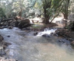 A venda FAZENDA DE MIL HECTARES, KIKABO Serviços
