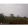 Terreno de 80 hectares no Bengo bl³