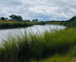 A venda Terreno agrícola, na comuna Sede, município da Cuvango, província da H...