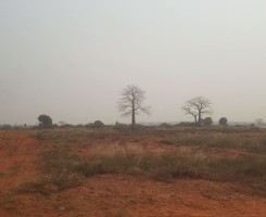 A venda Terreno de 2 hectares, no Zango 5000