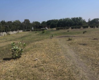 A venda Espaço para investimento 3 Hectares