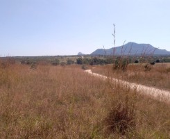 A venda Terreno de 500 hectares, no município Cubal, Província de Benguela.