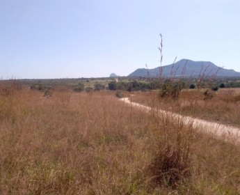 A venda Terreno de 500 hectares, no município Cubal, Província de Benguela.