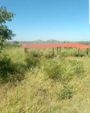 Terreno de 500 hectares, no município Cubal, Província de Benguela.