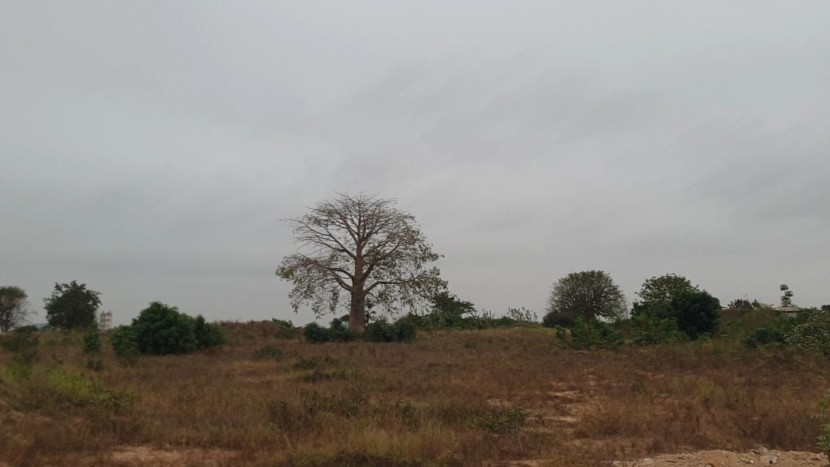 Terreno de 23 hectares, adjacente ao Instituto Politécnico de Arte, Camama.