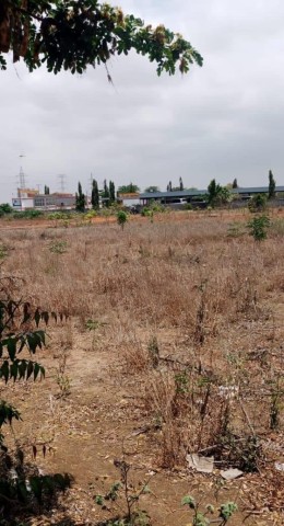 Terreno de 04 hectares, no Troço Shoprite - Bca, Av. Deolinda Rodrigues.
