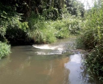 A venda Fazenda de 10 mil Hectares serviços
