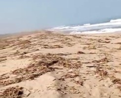 A venda Terreno de 22 Hectares beira mar serviços