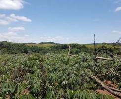 A venda Fazenda Arrenda/venda no Bengo cludio