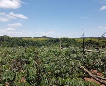 A venda Fazenda Arrenda/venda no Bengo cludio