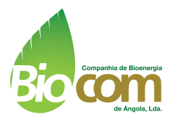Candidatura Espontânea para a Biocom Angola