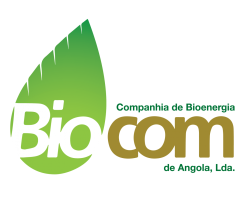 Comprar Candidatura Espontânea para a Biocom Angola