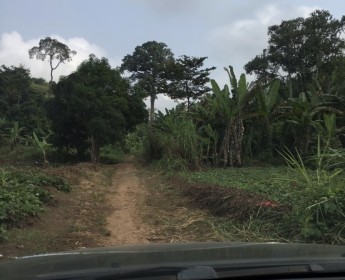 A venda Imóveis de alto padrão em Luanda e outros. Serviços