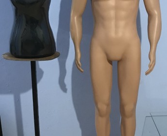 A venda Manequins completo e Busto com tripé