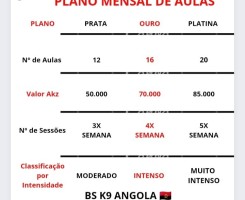 A venda Serviço de adestramento de cães ao domicílio