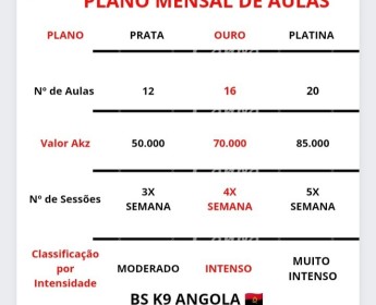A venda Serviço de adestramento de cães ao domicílio
