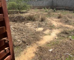 A venda Tereeno a Venda no Benfica