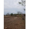 Terra a venda 10 hectares na Quiminha(bengo)