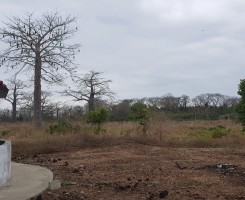 A venda Terra a venda 10 hectares na Quiminha(bengo)