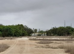 Terreno de 9 hectares sito na via expressa