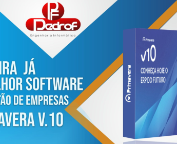 A venda PRIMAVERA PROFISSIONAL v10 | Ct Agt