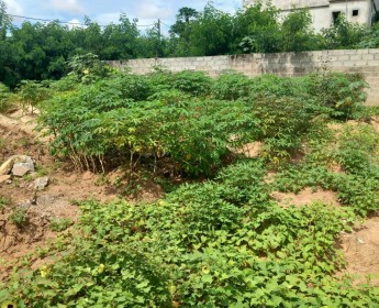 A venda Terreno 25/15 já vedado