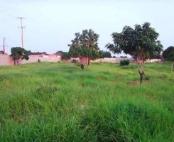 Comprar Venda