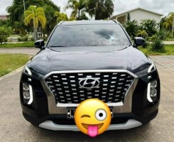 A venda Hyundai Palisade 2023 stnd