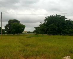 A venda VENDE-SE TERRENO BEIRA ESTRADA DE 5.4 HECTARES VIA EXPRESSA
